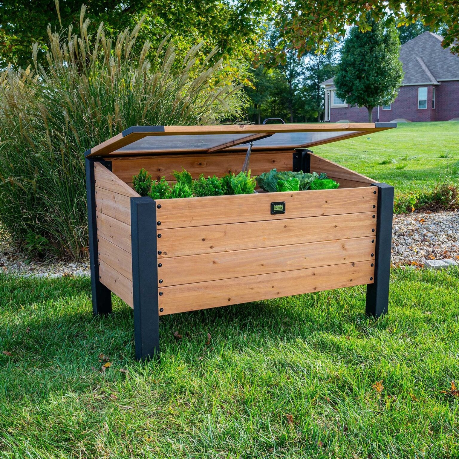Aggie Cold Frame Box Leather Store World aggie-cold-frame-box-leather-store-world