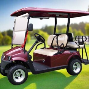 Hawk Golf Cart Electric 2+2 Seat 100Ah Lithium